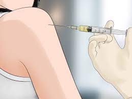 Protects your pet and helps prevent eggs hatching in. How To Treat A Caterpillar Sting 11 Steps With Pictures