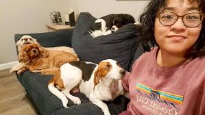 Does anyone have bagged leaves to give away?