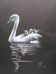 Unleash your imagination, imagine yourself a creator and get the most out of the play of color, from how the paint flows and mixes, what new shapes and shades you observe. A Beautiful Swan In Lake Black Paper Drawing Black Paper Swan Drawing