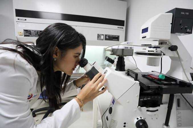 Venezuela lidera investigaciones microambientes de células madre  hematopoyéticas en la piel - MINCYT