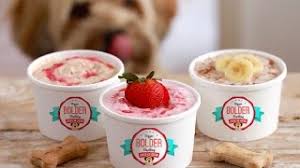 Custard ice cream has milk, sugar, and flavorings, all of which may be toxic to your dog. How To Make Delicious Ice Cream For Dogs