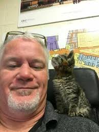 Cats That Have Had Enough Of Your Shit