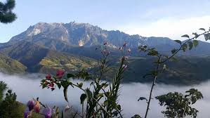 Kami akan senaraikan tempat menarik di kundasang untuk panduan pencutian anda. 15 Tempat Menarik Di Kundasang Yang Sejuk Bagai Di New Zealand Cari Homestay