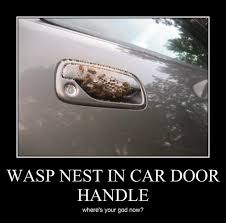 Let's kick the hornets nest! Memebase Nest All Your Memes In Our Base Funny Memes Cheezburger