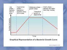 The growth of a bacterial population occurs in a geometric or exponential manner: How Do I Compare Bacteria Growth Curves Biology Stack Exchange
