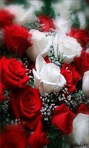 Maybe you would like to learn more about one of these? Mazzo Di Rose Gif Scarica Condividi Su Phoneky