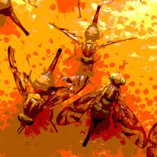 Building managers received significant resident complaints about pest sightings in their this consistent progression indicates that pest activity continued to improve with each unit the other video, stop pests in your homes, targets tenants and residents and offers advice on how to avoid. Can Your Pest Management Audit Be Simplified