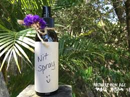 How To Make Your Own Nit Spray To Prevent Head Lice