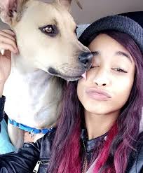 Lost dog found in Williams, CA