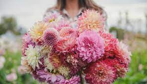 Check spelling or type a new query. West Michigan Upick Flower Farms You Re Going To Want To Visit Grkids Com