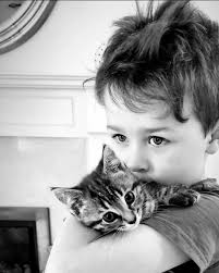 In Loving Memory of Taylan