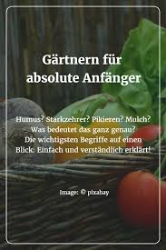 Gemusegarten Fur Anfanger Gartenarbeit Garten Pflanzen Garten