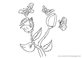 Ou de paste decorat cu floricele. Flori Si Fluturi