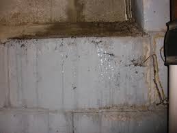 Plus, it will help keep restoration costs down. Michigan Builder Provides Tips On Keeping Your Basement Dry Michigan Radio