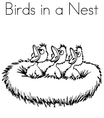 A family of parrots is created once and for life. Bird Babies In A Nest Coloring Book Bird Coloring Pages Coloring Pages Bee Coloring Pages