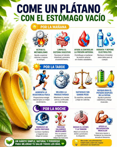 🍌 ¿Sabías que el momento en que comes un plátano puede influir en cómo  aprovecha tu cuerpo sus nutrientes? Esta fruta es una excelente fuente de  potasio, fibra, vitamina B6 y antioxidantes
