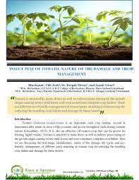 .of entomologyentomology major insect pest of solanaceous crop (potato & tomato) and their management narendra deva university of 31. Pdf Insect Pest Of Tomato Nature Of The Damage And Their Management