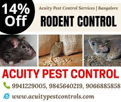 We considered customers' reviews, pest control companies finished projects and their a: Rodent Control Service Rodent Control Pest Control Pests
