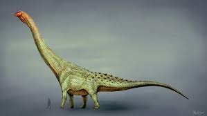 Puedes usar la barra espaciadora o la flecha ↑ para saltar sobre los obstáculos. Asi Era El Patagotitan La Criatura Mas Grande Que Ha Pisado La Tierra National Geographic En Espanol