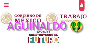 Jóvenes construyendo el futuro va dirigido a la población mexicana que sean jóvenes de entre 18 a 29 años de edad que no estudien ni trabajen. Aguinaldo Para Jovenes Construyendo El Futuro Youtube