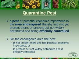 Ppt Pest Risk Analysis Pra Training Powerpoint Presentation Free Download Id 3749889