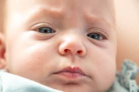 Country Creations Photography