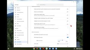 You can change cursor color in chromebook from the accessibility settings. Chromebook How To Change Mouse Cursor Size And Color Youtube