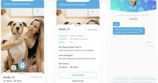 Ui/ux and app structure building. Dating App Charmr Invites Users To Push The Paw To Find Pet Loving Potential Partners Geekwire