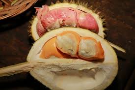 Akan tetapi kelezatannya tentu sesuai. Ini Durian Di Indonesia Yang Bakal Ngehits 5 Tahun Ke Depan Halaman All Kompas Com