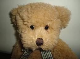 Russ Berrie DOUGLAS Bear 11 Inch SUPER SOFT ! 35647