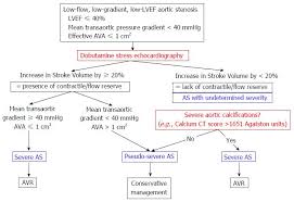 Assessment Of Aortic Valve Disease A Clinician Oriented Review