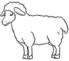 This guide of how to draw a camel step by step is easy and quick. How To Draw Sheep 9 Steps With Pictures Wikihow Clipart Best Clipart Best Sheep Drawing Drawings Animal Outline