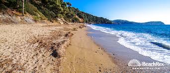 Check spelling or type a new query. Strand De Monaco Le Pradet Var Frankreich Beachrex Com