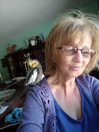 Unfortunately I've just been told days after but my honey bird is missing  please if anyone sees her let me no she wolf whistles alot .