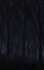 You will definitely choose from a huge number of pictures that option that will suit you exactly! Free Download Download Wallpaper 3840x2160 Forest Trees Background Dark 4k Ultra 3840x2160 For Your Desktop Mobile Tablet Explore 46 Dark 4k Wallpapers 4k Carbon Fiber Wallpaper Windows 10 Dark