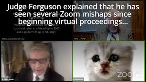 In actuality, ponton accidentally applied a filter on his webcam that made him take on the appearance of a virtual feline. I M Not A Cat Lawyer Goes Viral For Accidental Kitten Filter