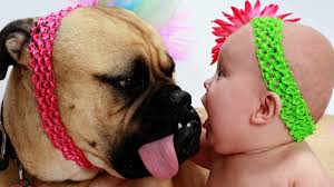After all, if you bite one of your litter mates too hard he won't play with you anymore. Cute Babies And Dogs Playing Together Funny Baby Dog Compilation Dailymotion Video
