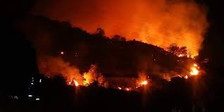 Τους οκτώ έχουν φτάσει οι νεκροί από τις καταστροφικές πυρκαγίες στην τουρκία. Efialtikh Nyxta Sthn Lesbo Stis Floges To Kyt Ths Morias Hxhsan Oi Kampanes Toy Xwrioy Ekkenw8hke H Domh Ellada Iefimerida Gr