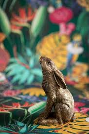 نتیجه جستجوی لغت [hare] در گوگل