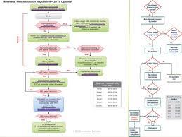 Nrp Protocol Wiring Diagrams