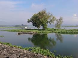 Sedangkan biaya sewa prahu atau getek dapat di nego langsung dengan pemilik. Pesona Keindahan Wisata Waduk Cengklik Di Ngemplak Boyolali Jawa Tengah Ihategreenjello