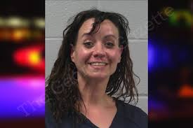 Krista Willis — Gilmer County Jail Bookings
