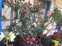 The price is $95 per night from aug 8 to aug 8$95. Palm Bay Apartments Home Facebook