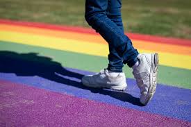 Federal judge rejects challenge to Florida's trans athlete law