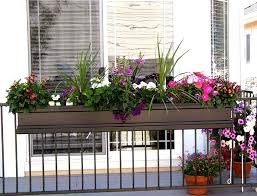 Maybe you would like to learn more about one of these? Balcony Railing Planter Ideas Novocom Top