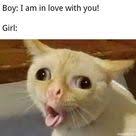 Gag Reflex Animal Memes Funny Animal Memes Funny Animals