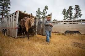 OSP says dead cow in Heppner not a mutilation