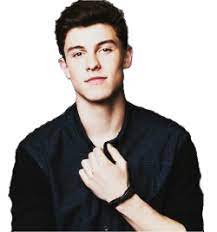 Pin On Shawn Mendes