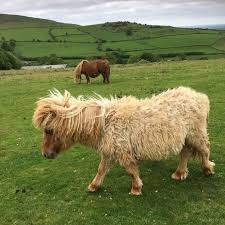 Dermot O'Sullivan The sun dain't rise ft. Ant Cook Lyrics