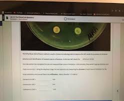 Dna mutation activity answer key. Biology Archive July 28 2020 Chegg Com